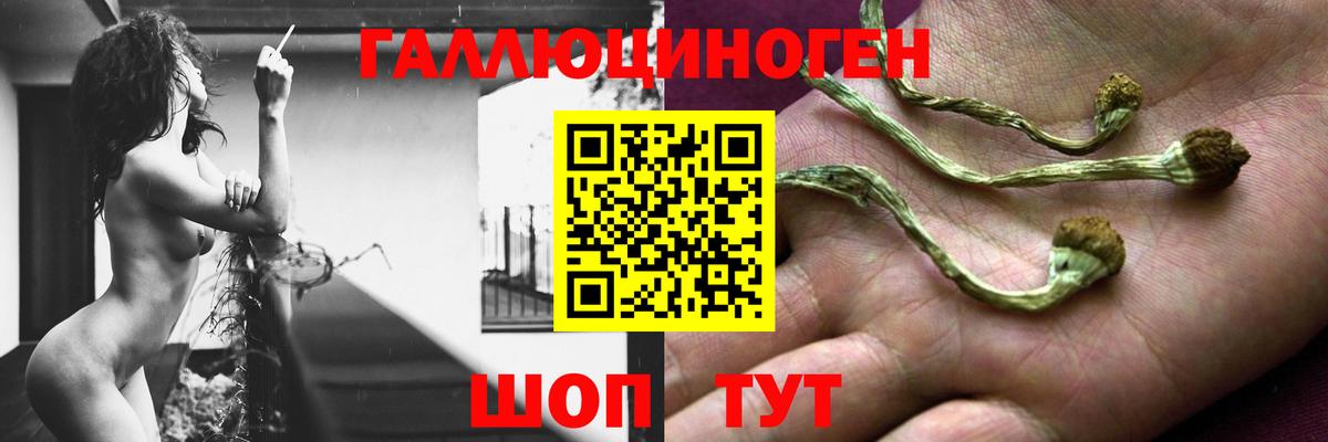 Галлюциногенные грибы ЛСД Прокопьевск